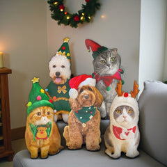 Funny Pet Cat Dog Ugly Plush Pillow