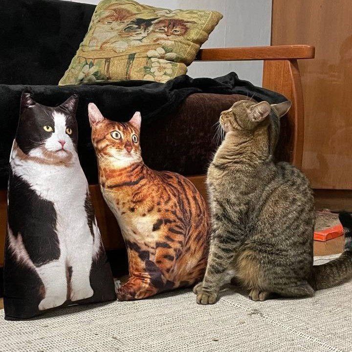 Funny Pet Cat Dog Ugly Plush Pillow