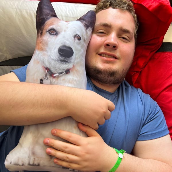 Funny Pet Cat Dog Ugly Plush Pillow